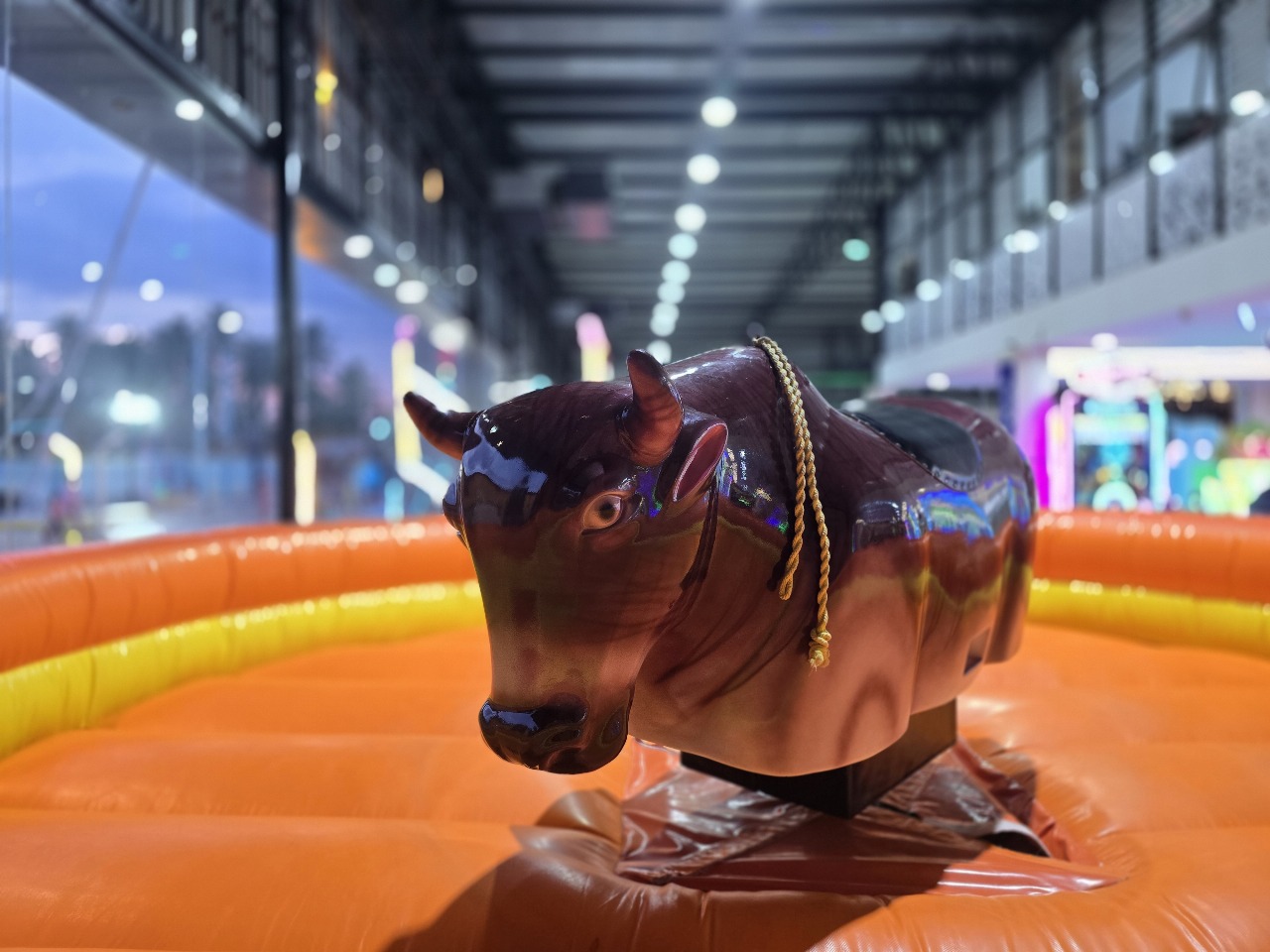 Mechanical Bull Arena